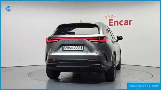 LEXUS NX PREMIUM