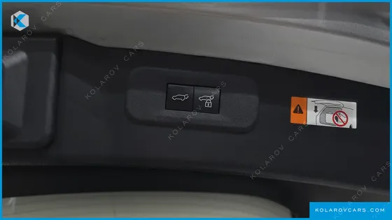 LEXUS NX PREMIUM