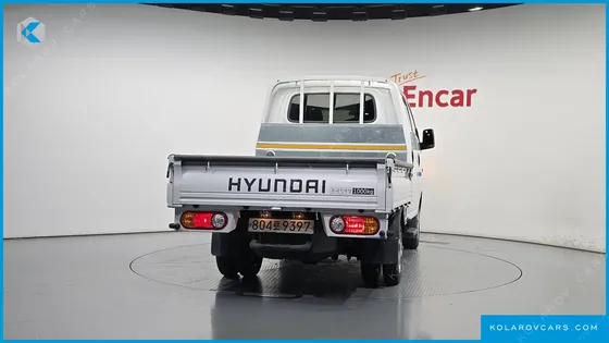 HYUNDAI PORTER II DOUBLE CABIN LPG