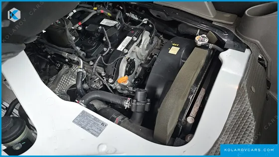 HYUNDAI PORTER II SUPER CABIN LPG