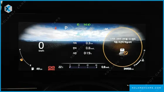 KIA CARNIVAL GASOLINE 9-SEATER NOBLESSE