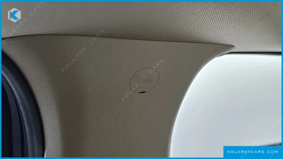 KIA CARNIVAL GASOLINE 9-SEATER NOBLESSE