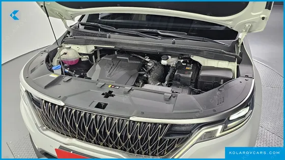 KIA CARNIVAL GASOLINE 9-SEATER NOBLESSE