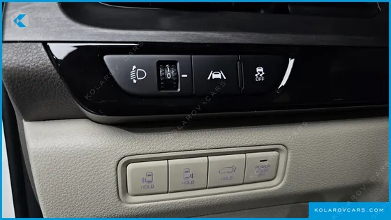 KIA CARNIVAL GASOLINE 9-SEATER NOBLESSE