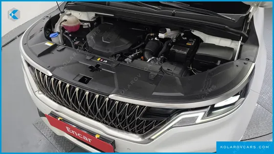KIA CARNIVAL DIESEL 7-SEATER OUTDOOR
