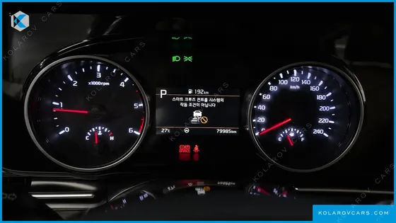 KIA CARNIVAL DIESEL 7-SEATER OUTDOOR