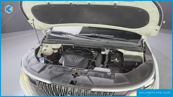 KIA CARNIVAL GASOLINE 9-SEATER SIGNATURE