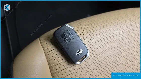 KIA CARNIVAL GASOLINE 9-SEATER SIGNATURE