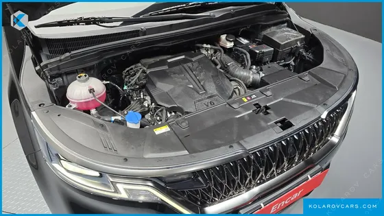 KIA CARNIVAL GASOLINE 11-SEATER SIGNATURE