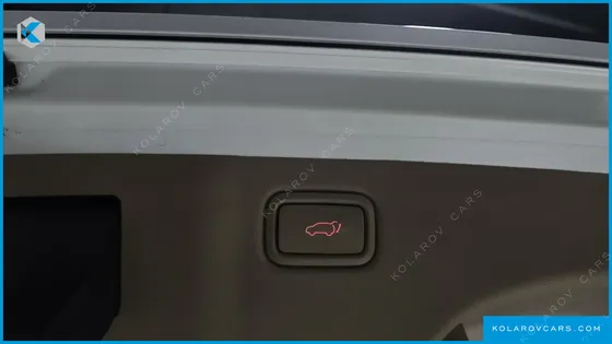 KIA CARNIVAL 9-SEATER NOBLESSE