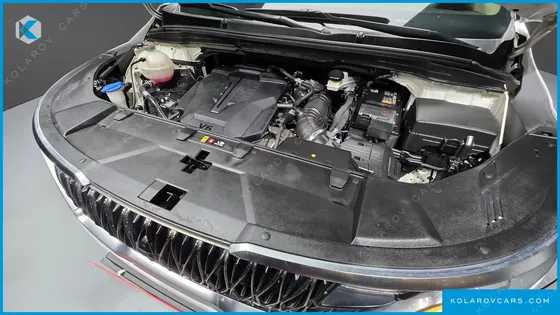 KIA CARNIVAL GASOLINE 9-SEATER NOBLESSE