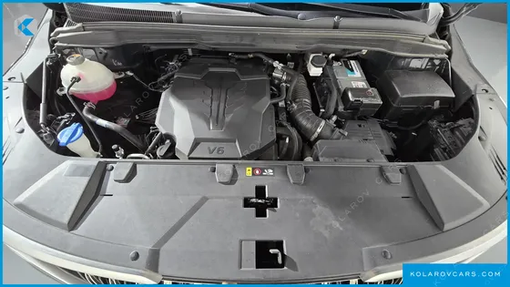 KIA CARNIVAL GASOLINE 4-SEATER HI-LIMOUSINE