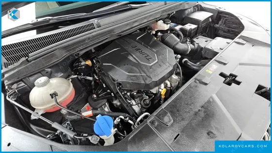KIA CARNIVAL DIESEL 9-SEATER HI-LIMOUSINE
