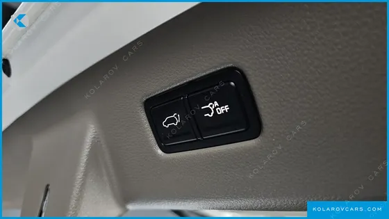 KIA CARNIVAL DIESEL 7-SEATER OUTDOOR