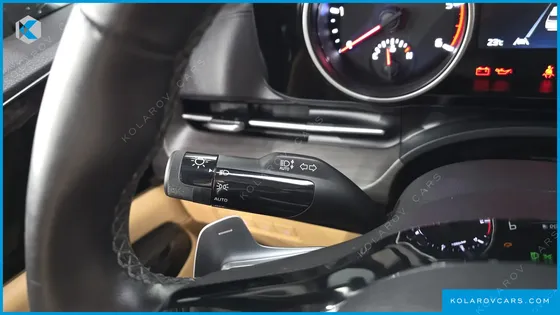 KIA CARNIVAL DIESEL 9-SEATER NOBLESSE