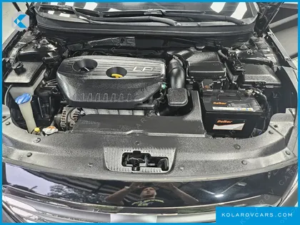 HYUNDAI SONATA LPI SMART(HANDICAPPED)