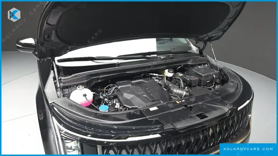 KIA CARNIVAL GASOLINE 9-SEATER NOBLESSE