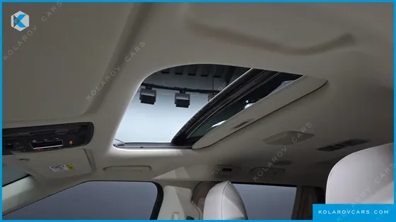 KIA CARNIVAL GASOLINE 9-SEATER SIGNATURE