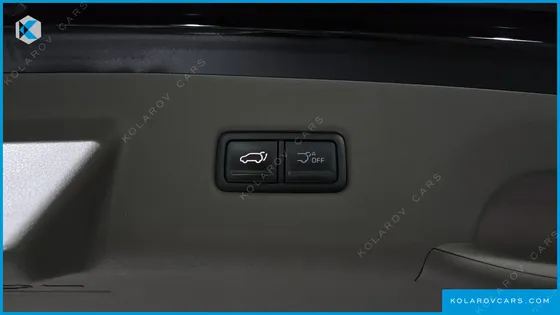 KIA CARNIVAL GASOLINE 9-SEATER SIGNATURE