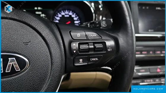 KIA CARNIVAL 9-SEATER NOBLESSE SPECIAL