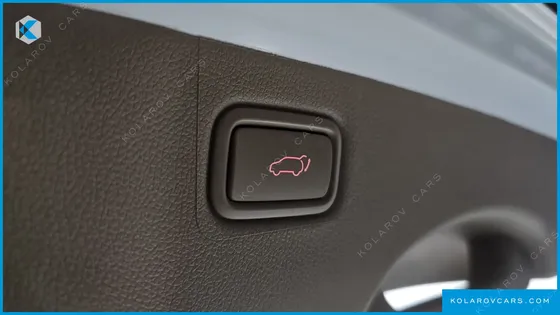 KIA CARNIVAL 9-SEATER NOBLESSE SPECIAL