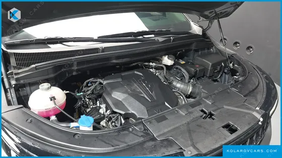 KIA CARNIVAL GASOLINE 9-SEATER HI LIMOUSINE