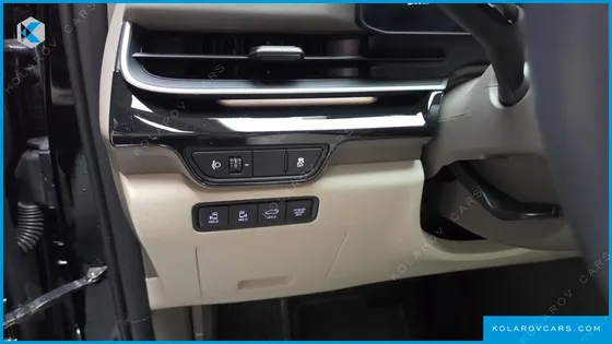 KIA CARNIVAL GASOLINE 9-SEATER HI LIMOUSINE