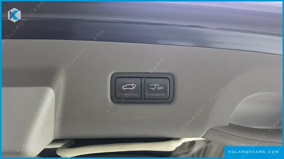KIA CARNIVAL GASOLINE 9-SEATER HI LIMOUSINE