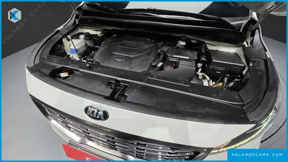 KIA CARNIVAL GASOLINE 9-SEATER NOBLESSE SPECIAL