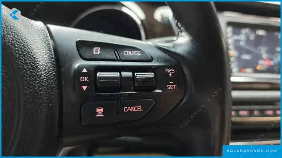 KIA CARNIVAL GASOLINE 9-SEATER NOBLESSE SPECIAL