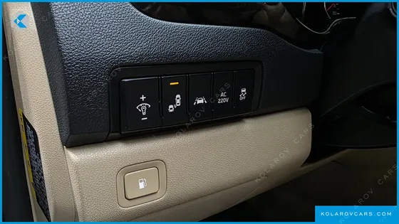 KIA CARNIVAL GASOLINE 9-SEATER NOBLESSE SPECIAL