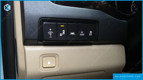 KIA CARNIVAL GASOLINE 9-SEATER NOBLESSE SPECIAL