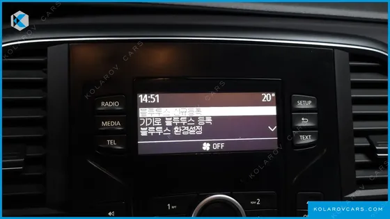 RENAULT KOREA SM6 2.0 LPE PE (RENTAL CAR)