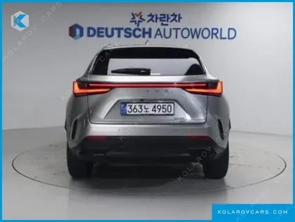 LEXUS NX PREMIUM