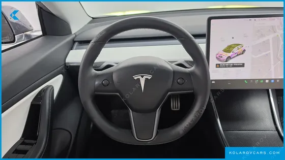 TESLA MODEL 3 PERFORMANCE AWD