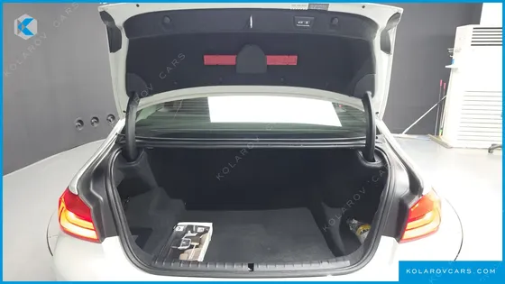 BMW 5 SERIES 520I LUXURY