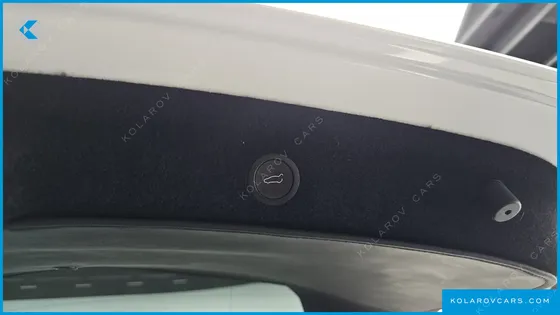 TESLA MODEL Y RWD