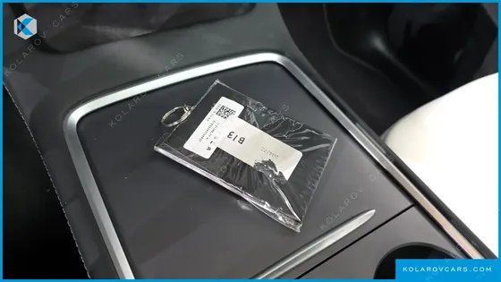 TESLA MODEL Y RWD