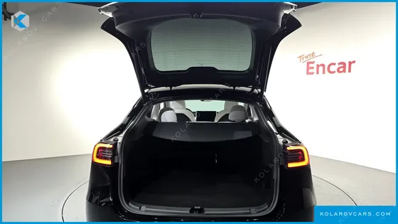 TESLA MODEL Y RWD