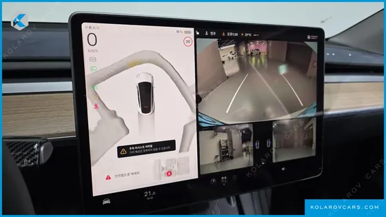 TESLA MODEL Y RWD