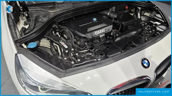 BMW 2 SERIES JOY