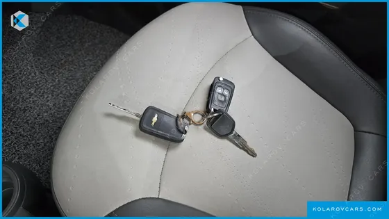 CHEVROLET (GM DAEWOO) SPARK SPARK S