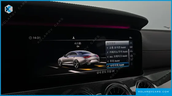 MERCEDES CLS-CLASS CLS300D AMG LINE