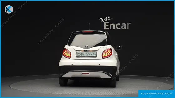 OTHER MANUFACTURERS OTHER PASSENGER CARS OTHERS EV