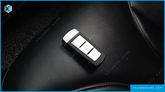 OTHER MANUFACTURERS OTHER PASSENGER CARS OTHERS EV