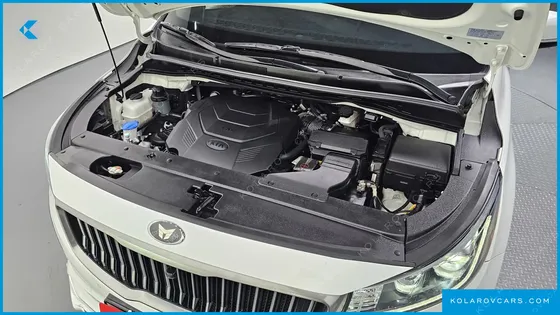 KIA CARNIVAL GASOLINE 9-SEATER LIMOUSINE(SPECIAL VEHICLE)