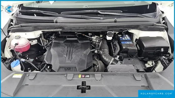 KIA CARNIVAL GASOLINE 9-SEATER HI-LIMOUSINE