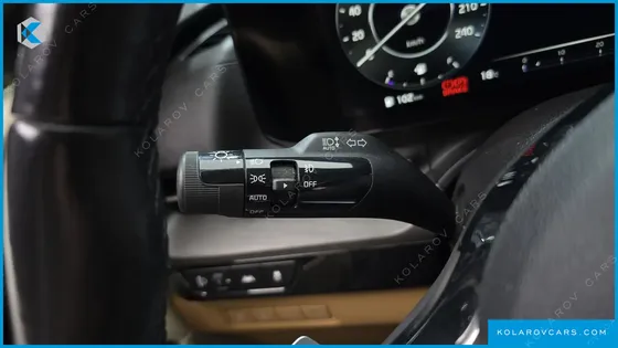 KIA CARNIVAL GASOLINE 9-SEATER LIMOUSINE(SPECIAL VEHICLE)