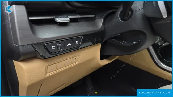 KIA CARNIVAL GASOLINE 9-SEATER LIMOUSINE(SPECIAL VEHICLE)