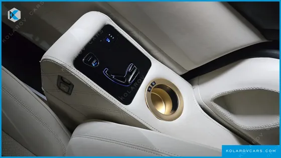 KIA CARNIVAL GASOLINE 9-SEATER LIMOUSINE(SPECIAL VEHICLE)